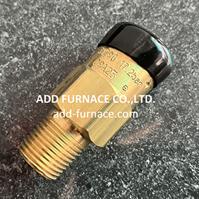 Rego 3129G Safety Relief Valve